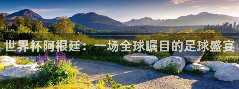 世界杯 赛程:世界杯阿根廷:一场全球瞩目的足球盛宴