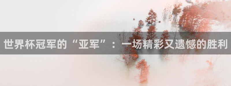 2026世界杯倒计时:世界杯冠军的“亚军”:一场精彩又遗憾的胜利