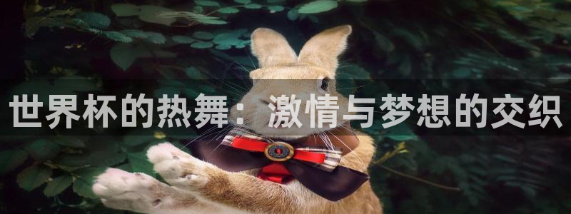 世界杯16强赛程表:世界杯的热舞:激情与梦想的交织