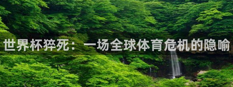 世界杯预选赛赛程时间表:世界杯猝死:一场全球体育危机的隐喻