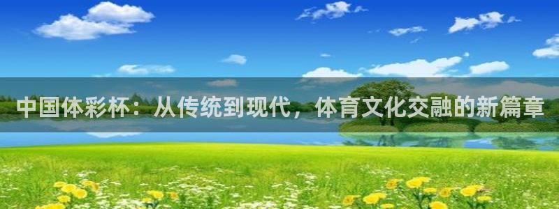 国际足联世界杯:中国体彩杯:从传统到现代,体育文化交融的新篇章