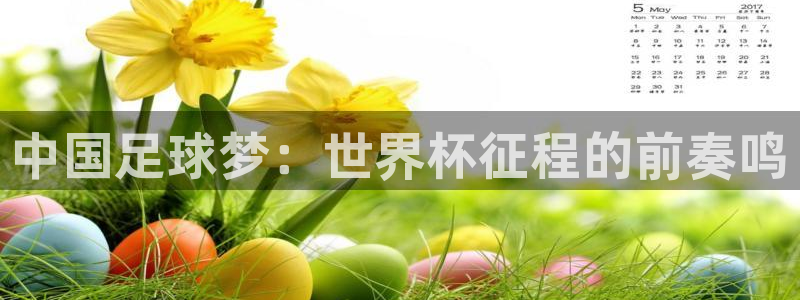 澳门世界杯直播:中国足球梦:世界杯征程的前奏鸣