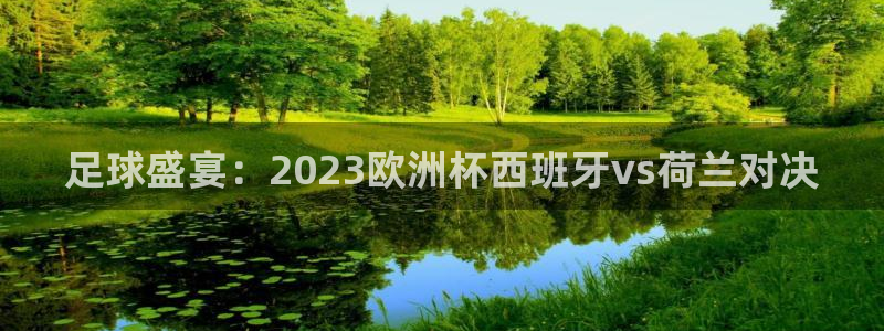 2006年世界杯冠军:足球盛宴:2023欧洲杯西班牙vs荷兰对决