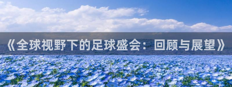 世界杯预选赛欧洲区赛程:《全球视野下的足球盛会:回顾与展望》