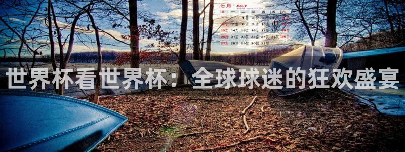 足球世界杯时间:世界杯看世界杯:全球球迷的狂欢盛宴