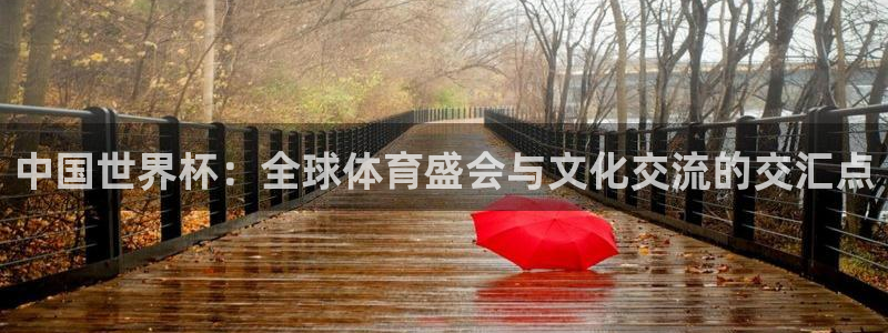 美国世界杯:中国世界杯:全球体育盛会与文化交流的交汇点